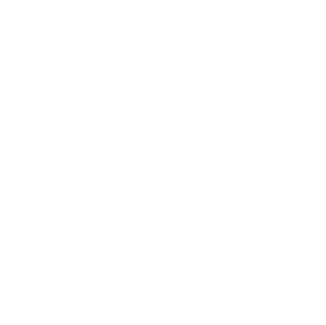 Branskis